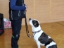 Bezpečný pes  odpolední program v tělocvičně